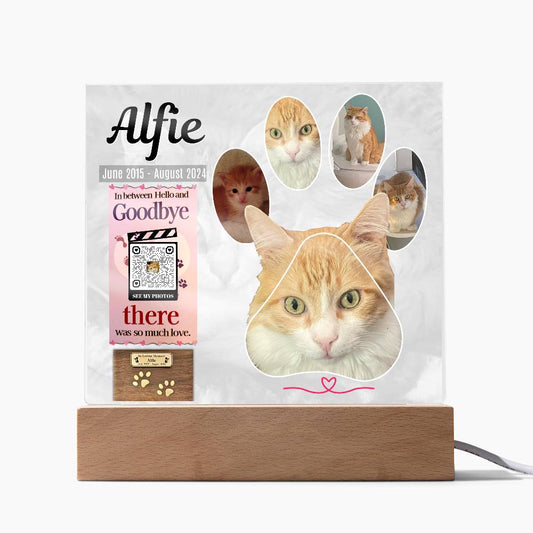 In Memory of Our Dearest Cat Alfie, June 2015 - August 2024, Acrylic Square Print - YERTIZZ.COM